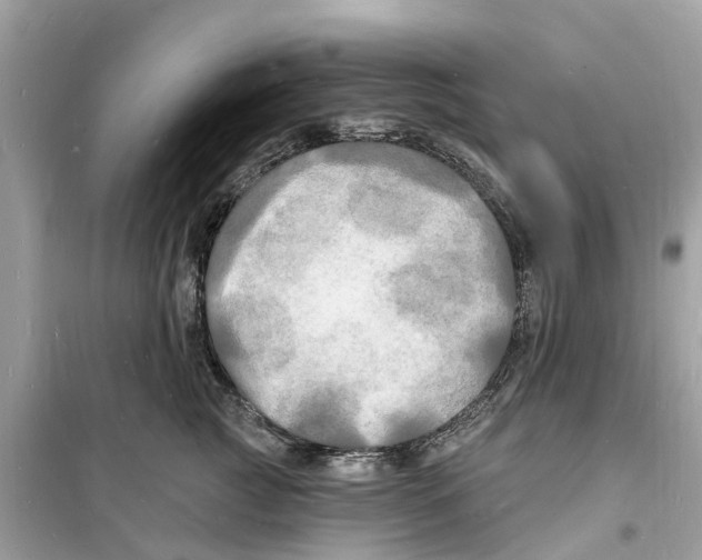 X0000098230761200805221710