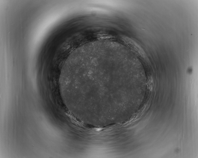 X0000098230763200805221710