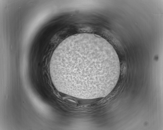 X0000098230764200805221710