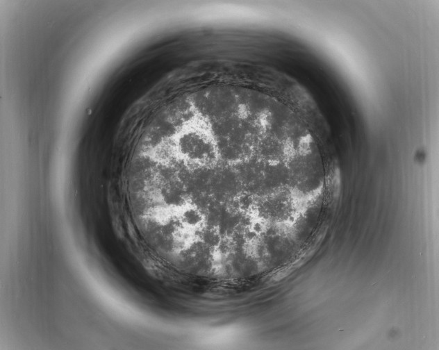 X0000098230765200805221710