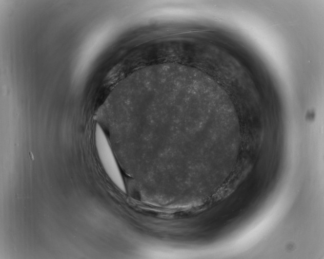 X0000098230766200805221710