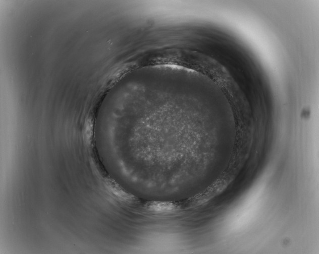 X0000098230767200805221710