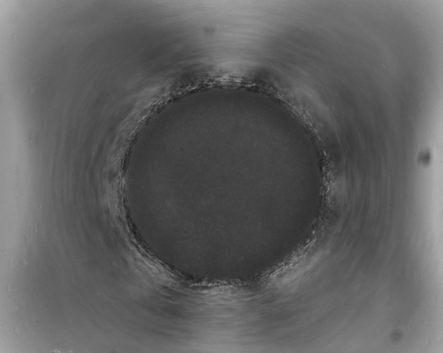 X0000098230769200805221710