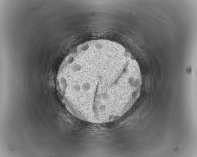 X0000098230770200805221710