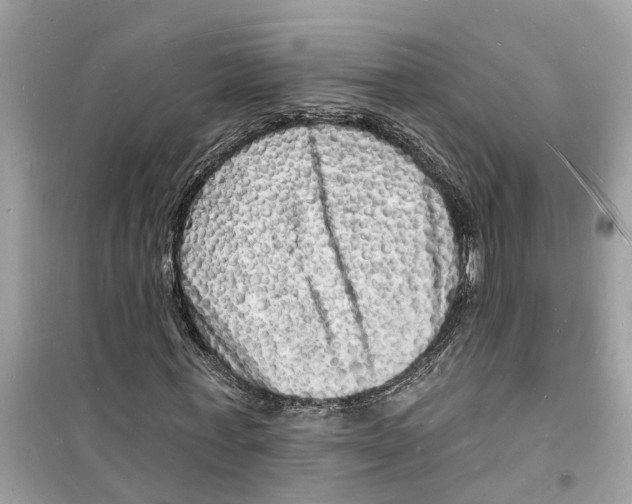 X0000098230771200805221710