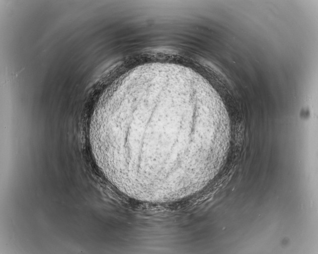 X0000098230774200805221710