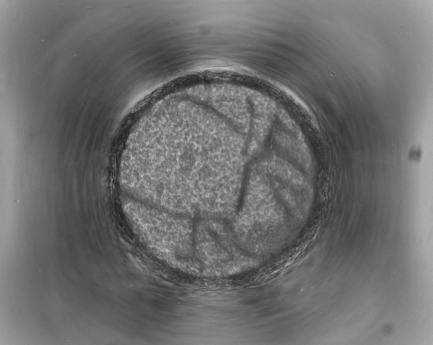 X0000098230775200805221710