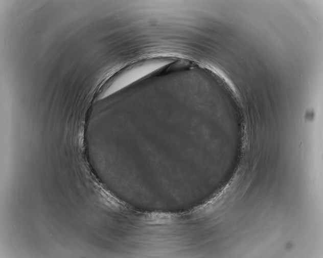 X0000098230777200805221710