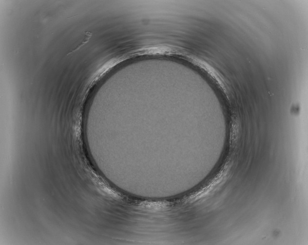 X0000098230778200805221710