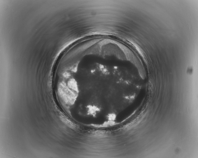 X0000098230779200805221710