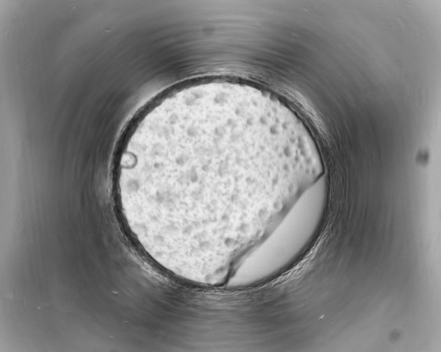 X0000098230780200805221710