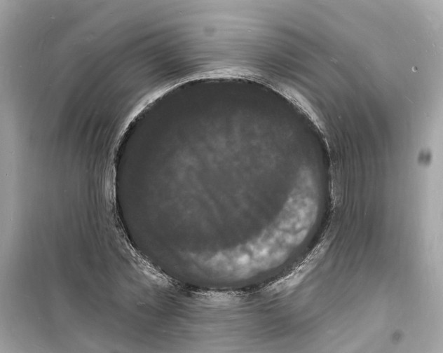 X0000098230781200805221710