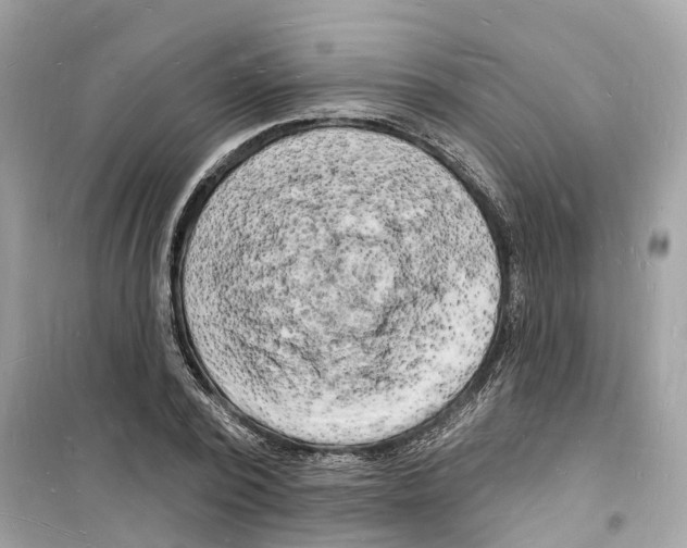 X0000098230784200805221710