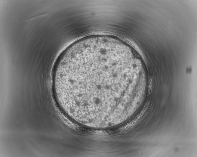 X0000098230787200805221709