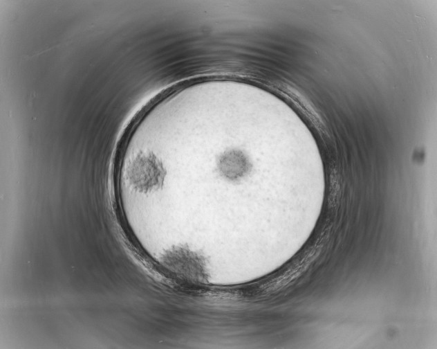 X0000098230788200805221709