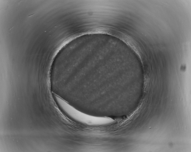 X0000098230789200805221709