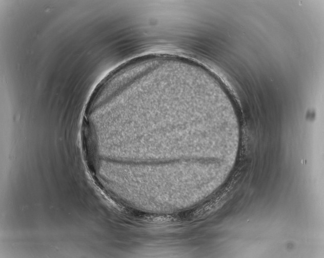 X0000098230791200805221709