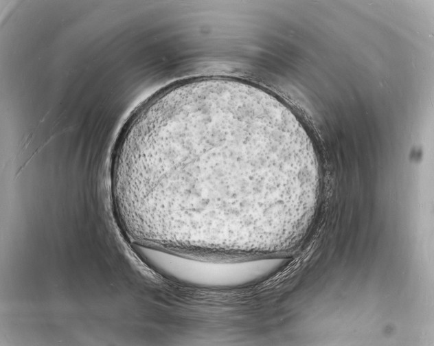 X0000098230792200805221709