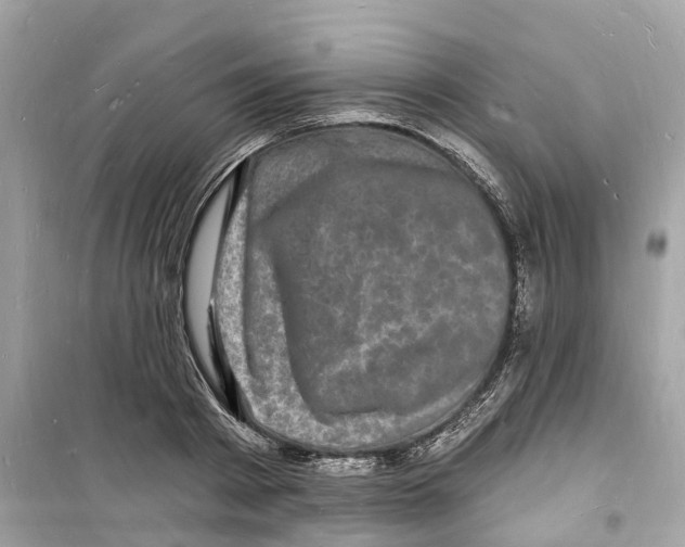 X0000098230793200805221709