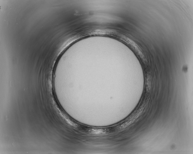 X0000098230794200805221709