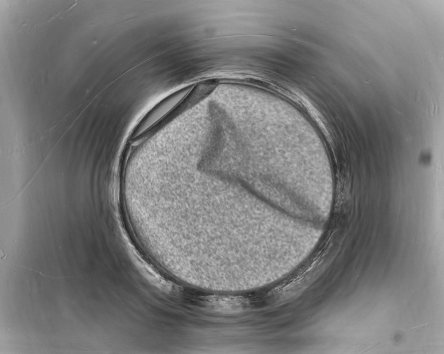 X0000098230795200805221709