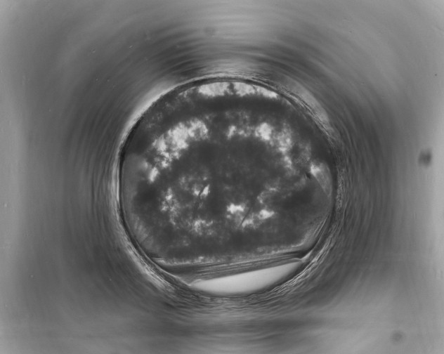 X0000098230796200805221709