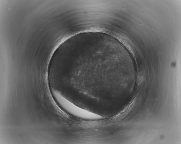 X0000098230797200805221709