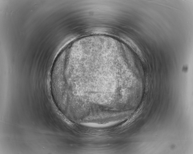 X0000098230798200805221709