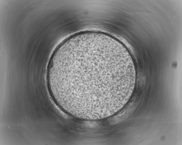 X0000098230799200805221709