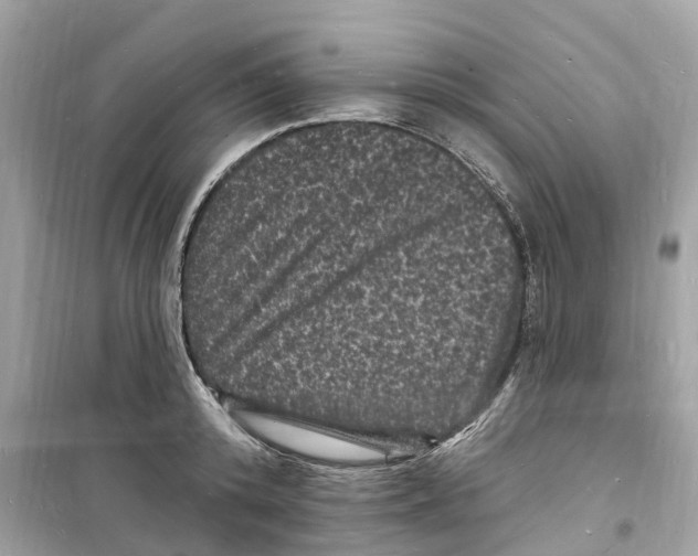 X0000098230800200805221709