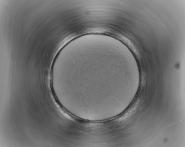 X0000098230802200805221709