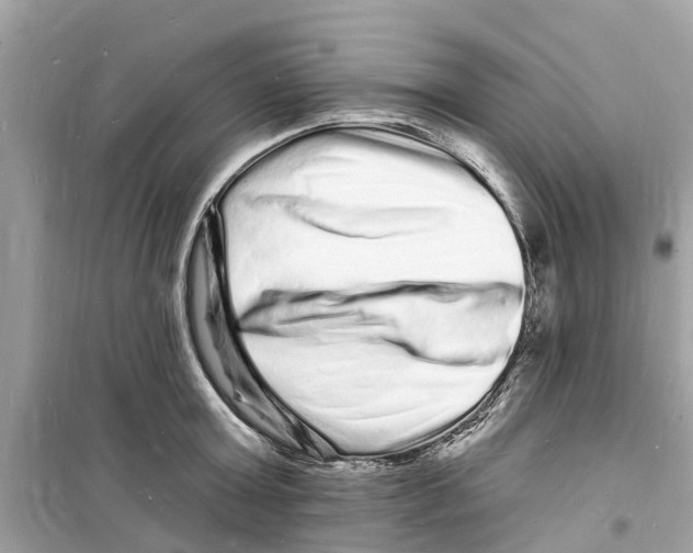 X0000098230803200805221709