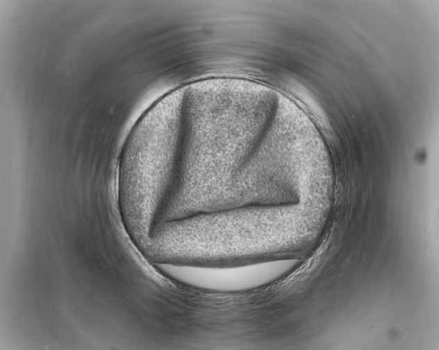 X0000098230804200805221709