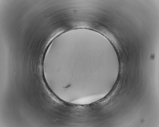 X0000098230806200805221709