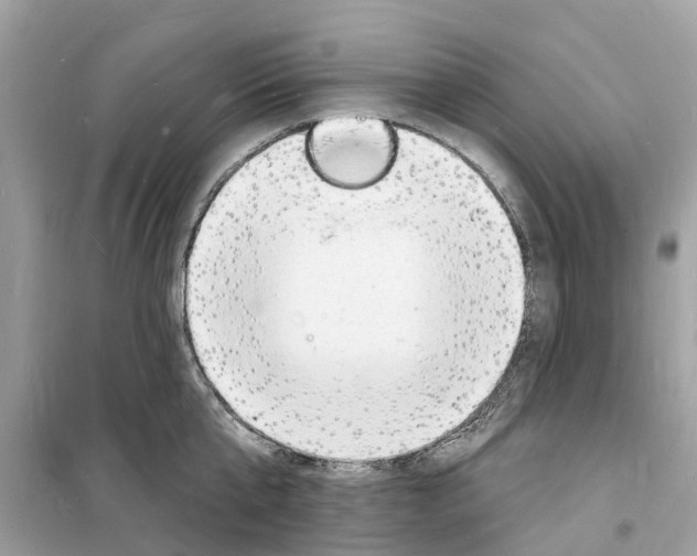 X0000098230807200805221709