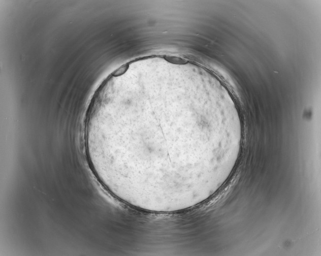 X0000098230808200805221709