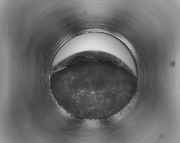 X0000098230809200805221709