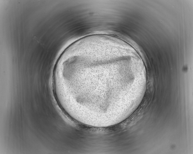 X0000098230811200805221709