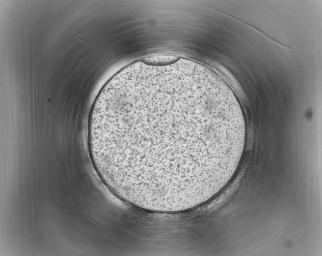 X0000098230812200805221709