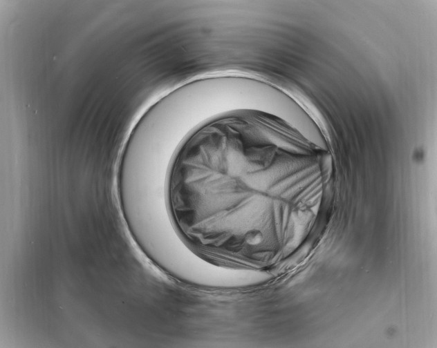 X0000098230813200805221709