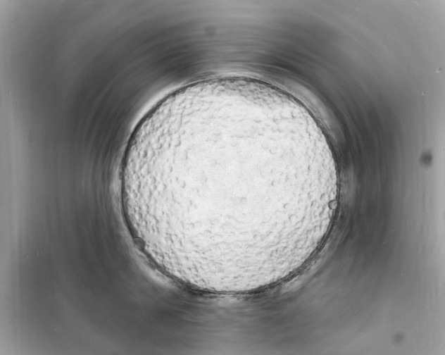 X0000098230814200805221709