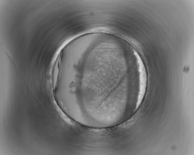 X0000098230816200805221709