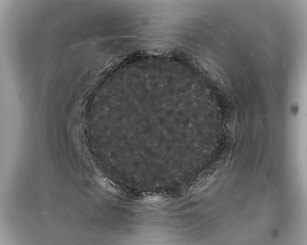 X0000098230817200805221708