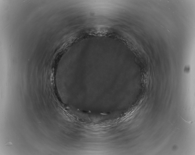 X0000098230818200805221708