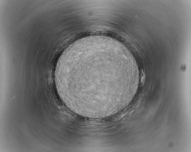 X0000098230819200805221708