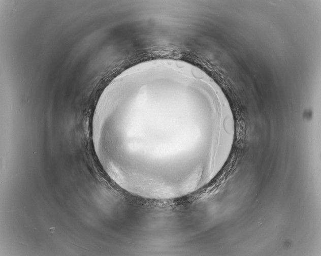 X0000098230820200805221709