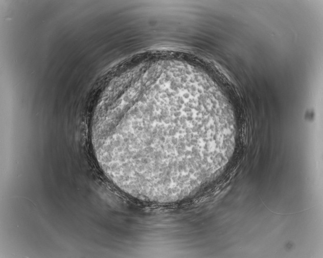 X0000098230821200805221709