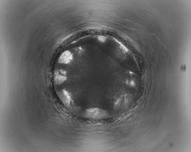 X0000098230822200805221709