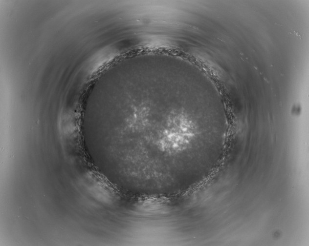 X0000098230824200805221709