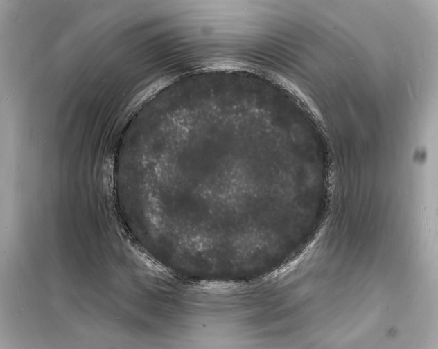 X0000098230825200805221709